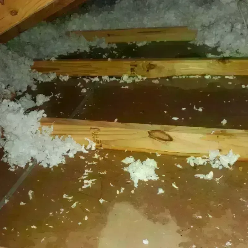 Attic Water Damage in Parkville, MN