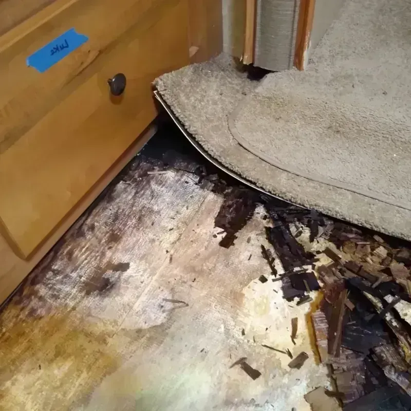 Wood Floor Water Damage in Parkville, MN